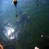 It's submerged.. not too sure if it was done deliberately.