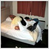 DivaPrep011.jpg