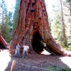 Oct06323.jpg