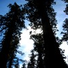 Oct06325.jpg