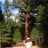 Oct06369.jpg